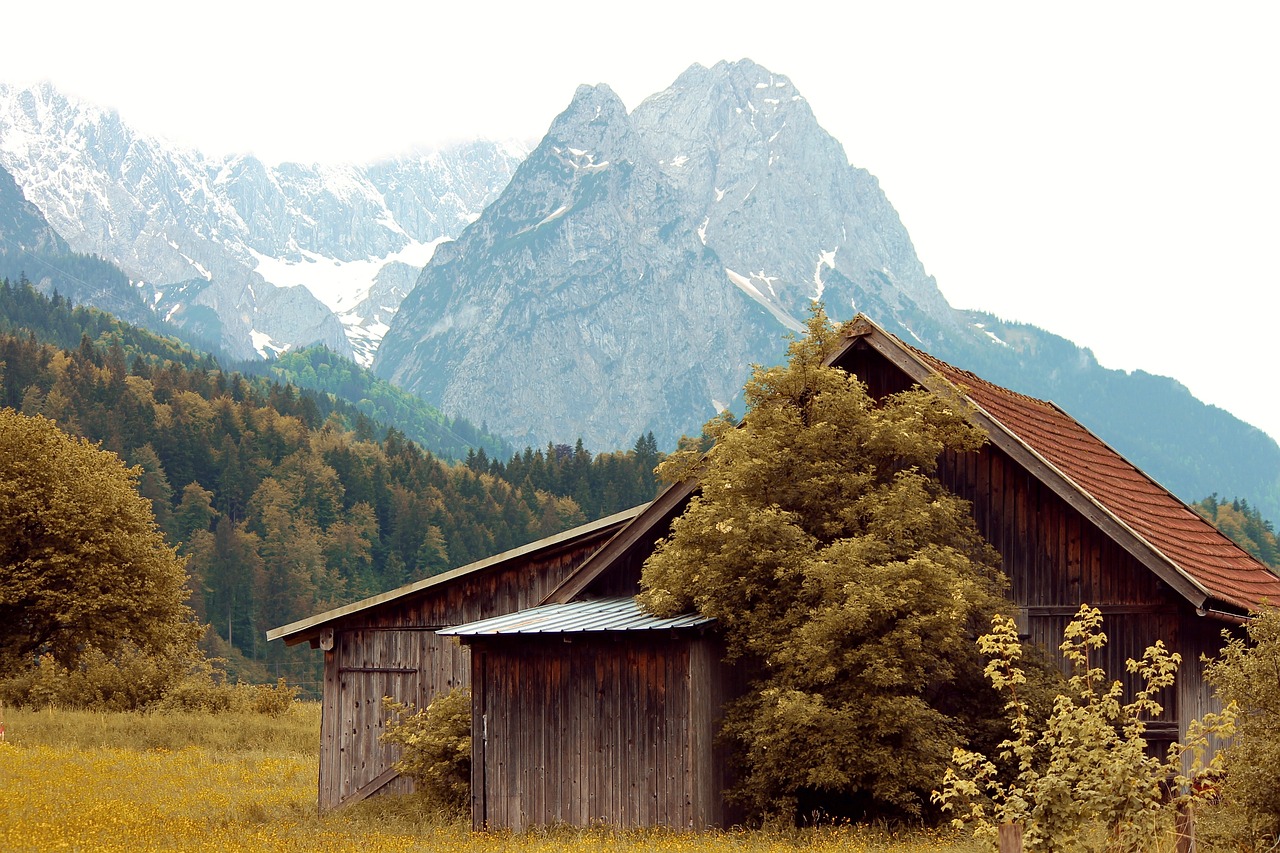 Ungestört in der Natur der Alpen
