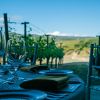 Ferien direkt auf dem Weingut